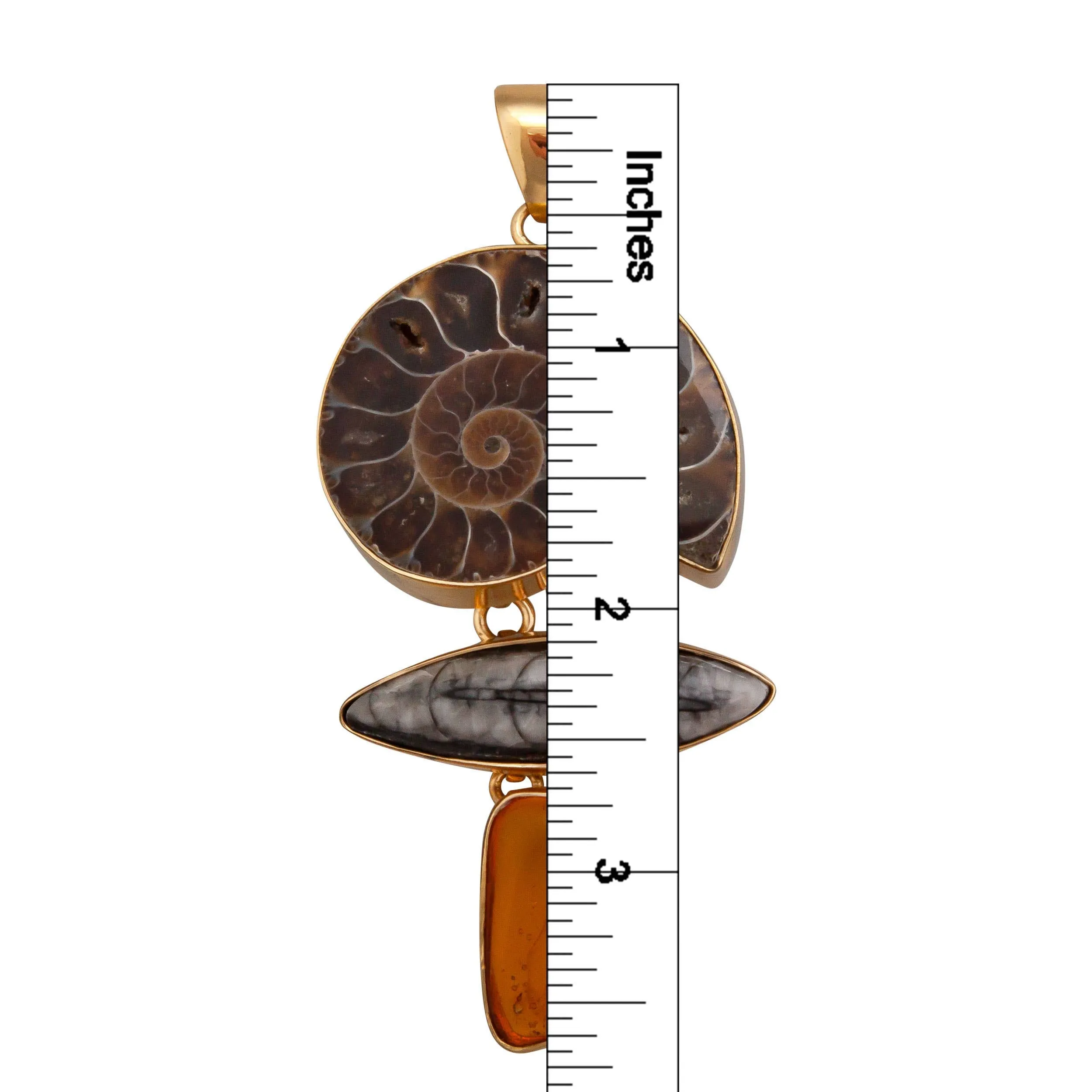 Alchemia Ammonite, Orthoceras & Amber Pendant on Alchemia Twist Necklace