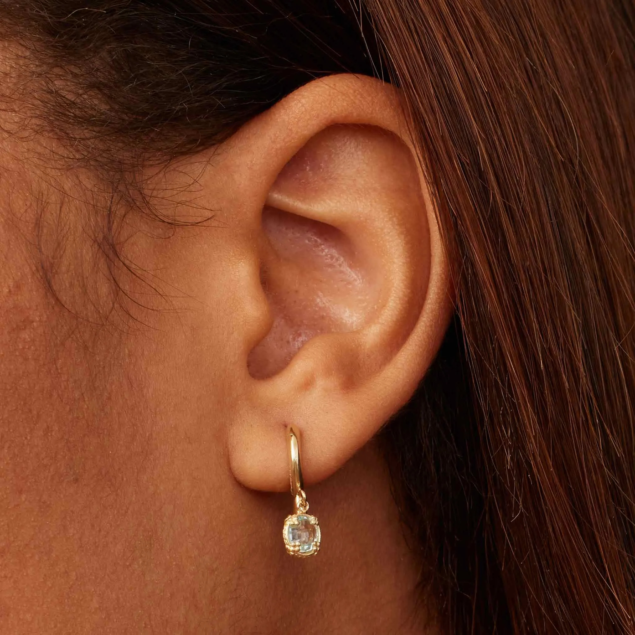 Antica Drop Earrings