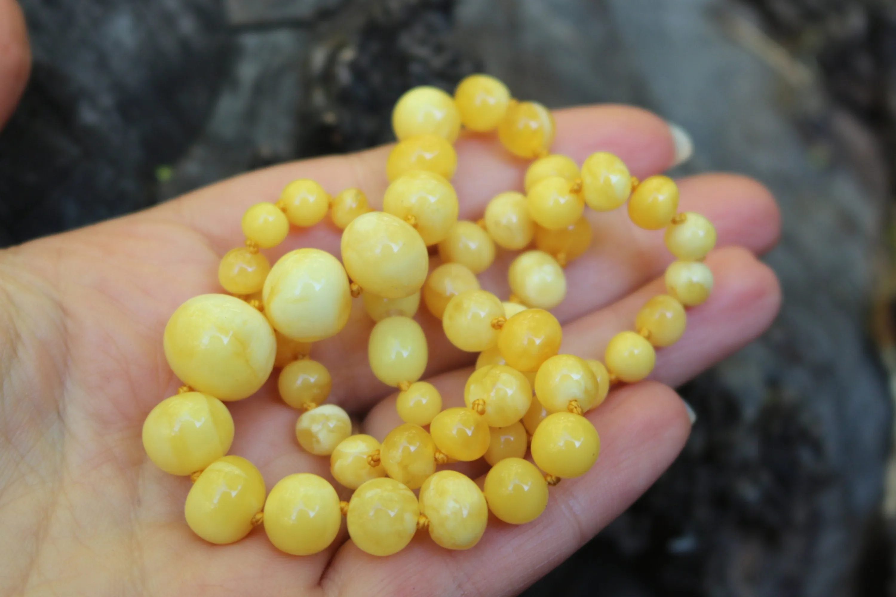 Baltic Amber Butterscotch Necklace Baroque Beads Round Natural Untreated Milky 16.9″ 14.6 gram