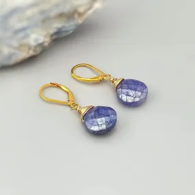 Blue Moonstone Earrings Dangle Gold, Silver Leverback