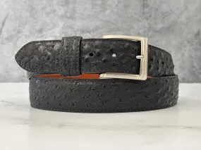 Ostrich Quill Belt: Black