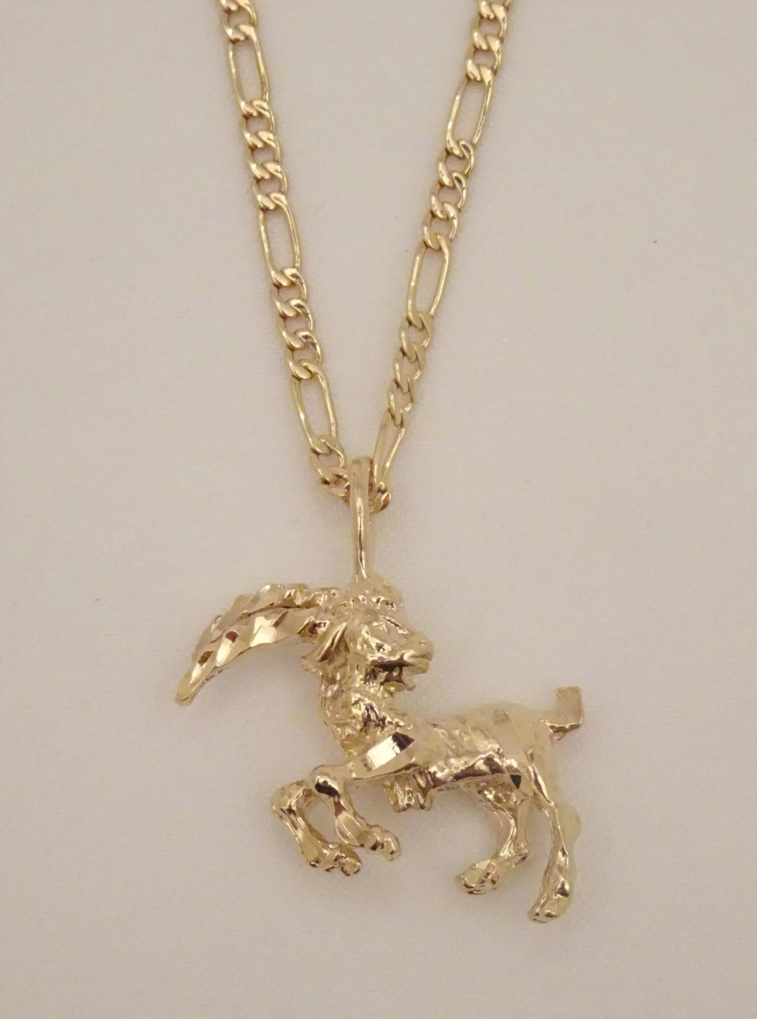 The Capricorn Necklace